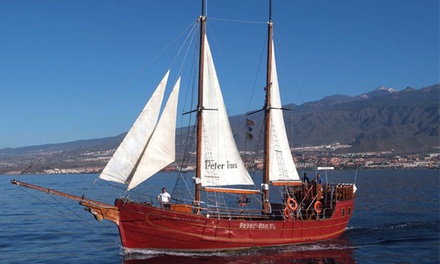 Paseo de 3 horas en barco Peter Pan con comida para 2 o 4 personas en Neptuno Sea Company
